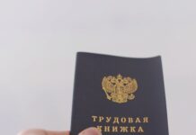 Госдума приняла закон о трудовых и социальных гарантиях участникам СВО